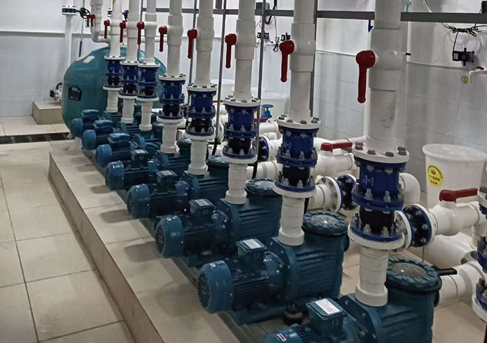 泳池循環(huán)水泵 泳池循環(huán)水泵