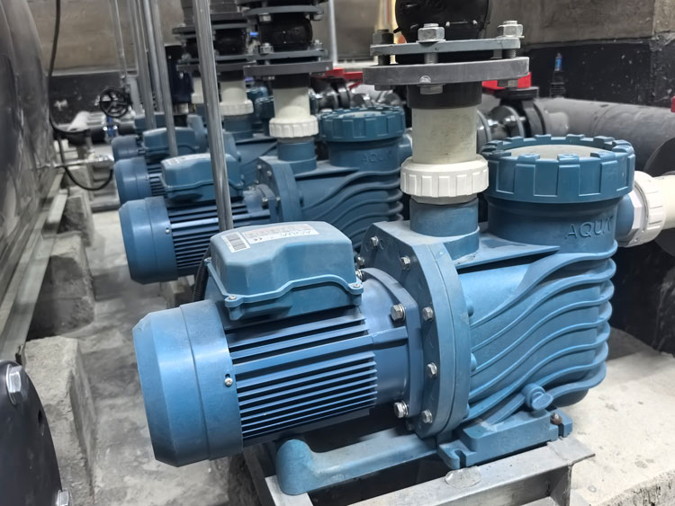 愛克泳池水泵 愛克泳池水泵